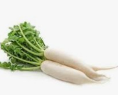 Fruits and Vegetables